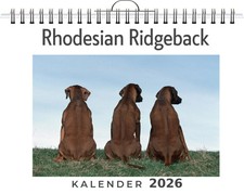 Rhodesian Ridgeback Louis Lang