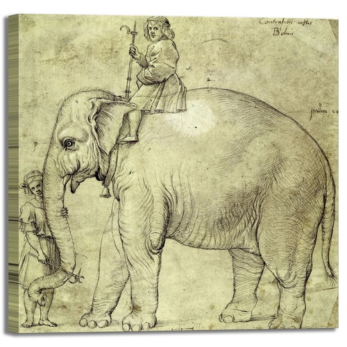 Raffael elefant design bild - raffael,