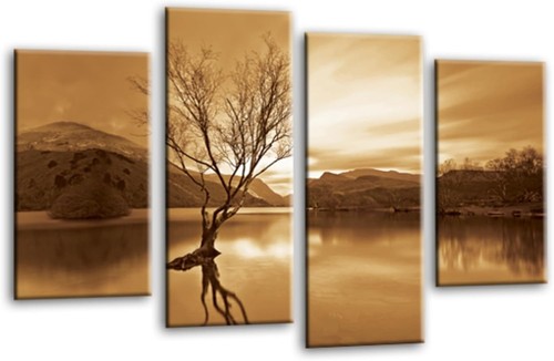 Landschaft wandbild braun - landschaft,