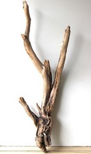 Treibholz Schwemmholz