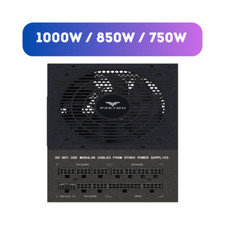 PREYON Eagle 80+ Gold Netzteil Gaming PC ATX 3.1, PCIE5 1000W/850W/750W