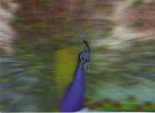 3 -D - Ansichtskarte: Blauer