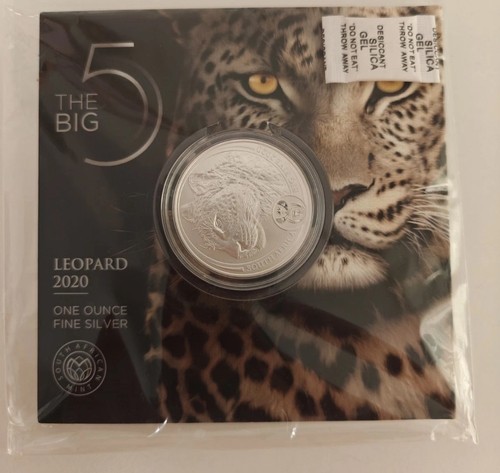 Big five leopard - five, 2020