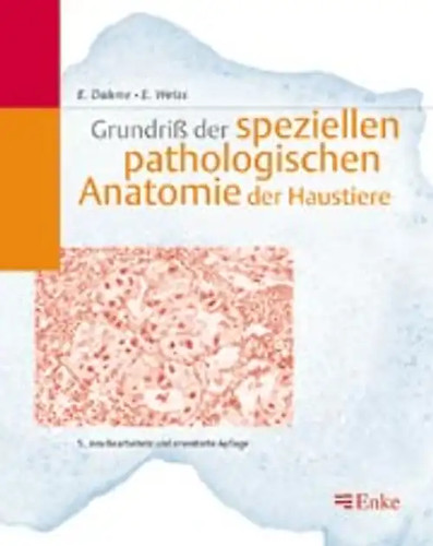 Grundriss der speziellen