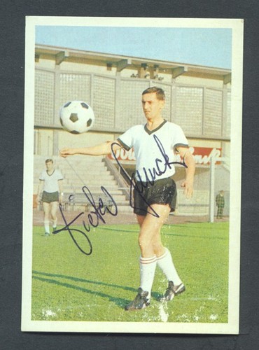 Dieter schock 1967 - dieter,