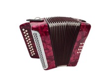 Silvetta Harmonika diatonisch Handharmonika XG-08-CDR 8 Bässe 2 Reihen C#-D NEU