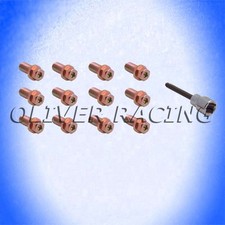 Fächerkrümmerschrauben