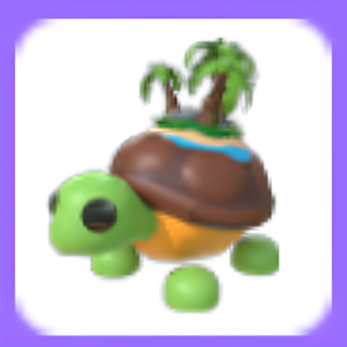 Adopt tortuga isla - tortuga,