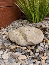 🌿Quellstein Findling aus