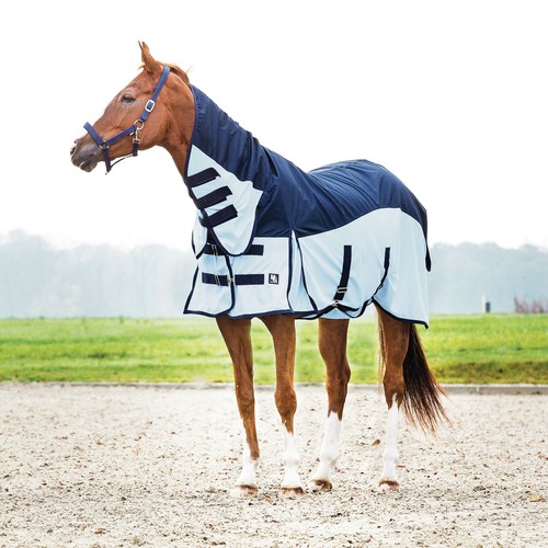 Horse guard regen - horse, und