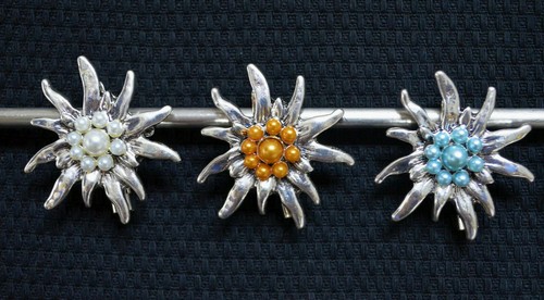 Trachtenschmuck edelweiß - trachtenschmuck,