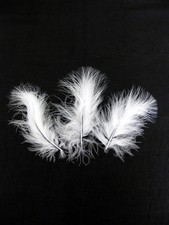 Marabu Federn Konfetti Hut Dekor Hochzeit Viele Farben Sortiert Schattierungen