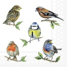 3 Servietten ~ Viele Vögel