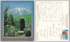 x03746 White Water Canyon Kalifornien USA Postkarte 1993 Briefmarke