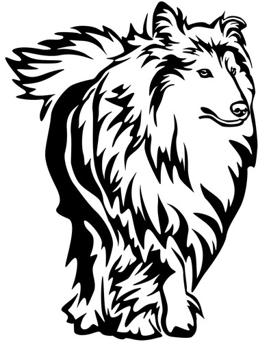 Collie aufkleber - collie,