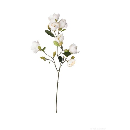 Asa selection magnolienzweig - asa,