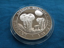 Somalia African Wildlife