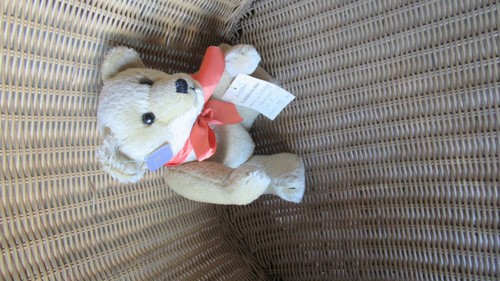 Teddy ludwig von schildkröt - von,