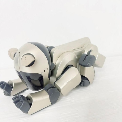 Müll sony aibo - ,
