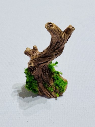 Stamm baumstumpf baum garten - baum,