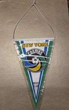 Cosmos New York Freiburger FC