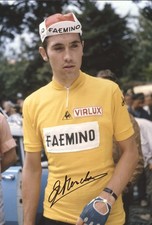 Eddy merckx original - eddy,