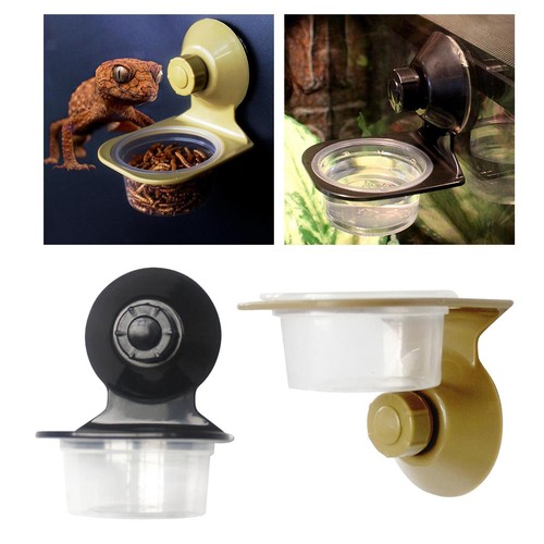 Reptile feeder - reptile,