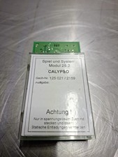 Spiel und System Modul 25.2 Löwen/Panther