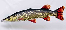 Fisch kissen kuschelfische - fisch,