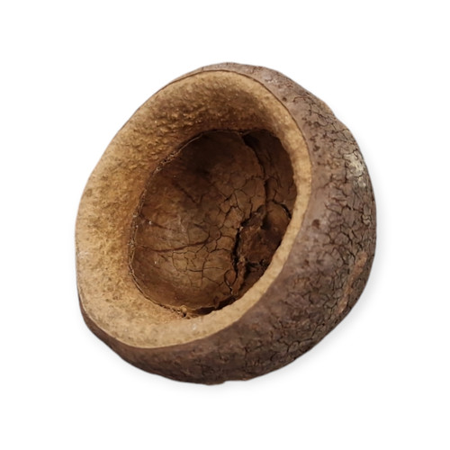 Chapeuzinho paradiesnuss - chapeuzinho,