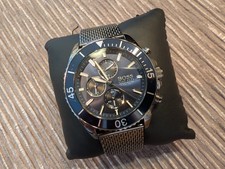 Hugo Boss Watch (Ocean)