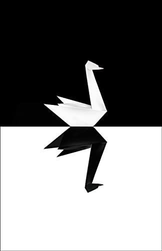 The black swan impact - the,