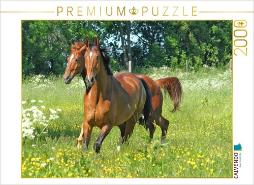 Calvendo puzzle ein - calvendo,