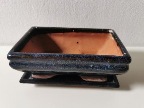 Bonsai schale topf mit - bonsai,