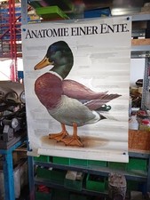 Citroen 2CV Werbung Plakat