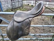 Stübben Romanus Spezial