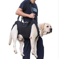 Laufhilfe & Stützgurt für behinderte & ältere Hunde | Gehhilfe nach Verletzungen