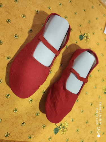 Eurythmieschuhe