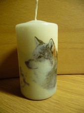 Deko Kerze - Tiere Hund Husky Schlittenhund