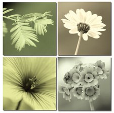 Bild Fotodruck Holzfaserplatte