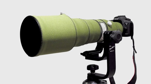 Canon 500 usm - 500, is