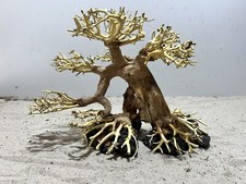 Aquarienwurzel, Bonsai