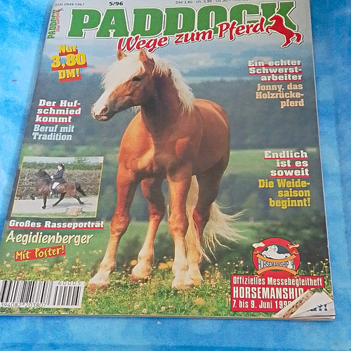 Paddock wege zum pferd - zum,