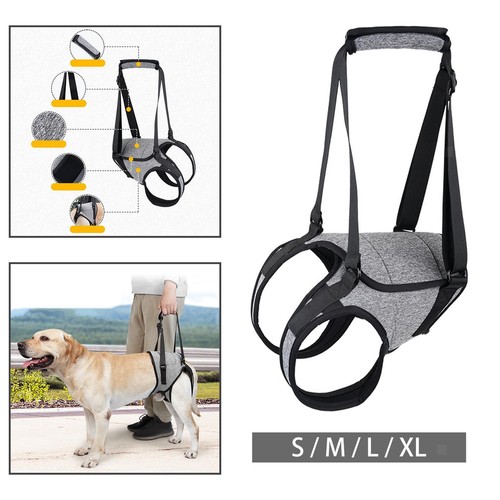 Hunde hebegeschirr hilfsgurt - hunde-hebegeschirr,