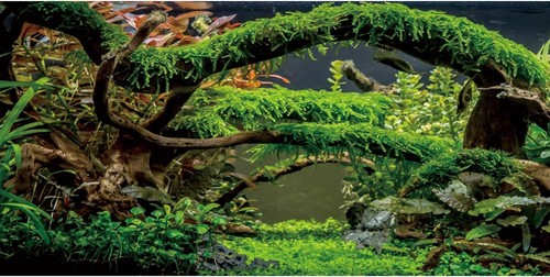 Aquarium hintergrund 120x50cm - aquarium,