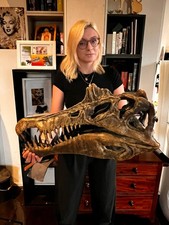 Mega Spinosaurus Schädel