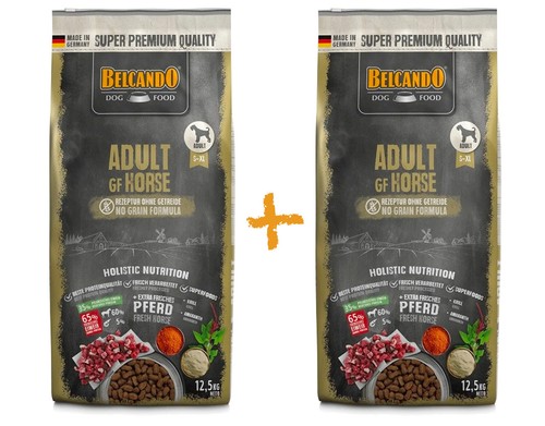 Belcando adult horse i - adult,