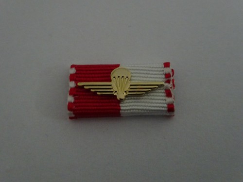 Bandspange schweiz - (s1-247),