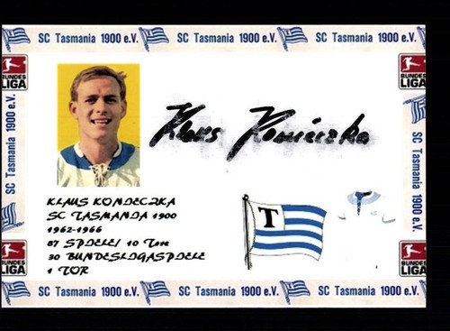 Klaus konieczka tasmania - klaus,