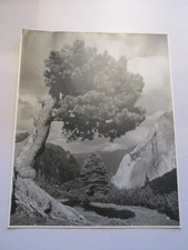 Gebirgslandschaft alter